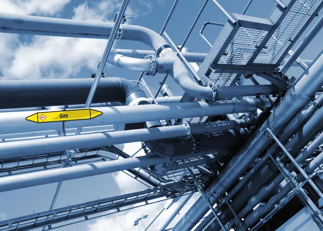 FlexxMax Skiltholder 20 cm 10stk 