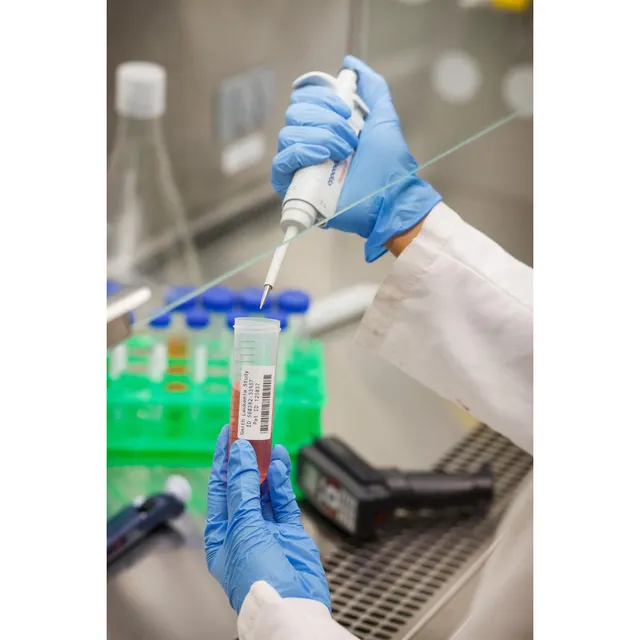 BRADY Hvit Polyester 25,4 x 12,7mm Permanent, FreezerBond, i51 i71 PR+ 