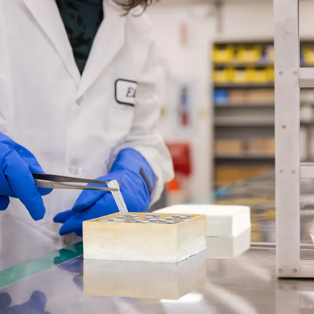 BRADY Hvit Etikett 25,4 x 12,7mm Freezer Permanent, FreezerBond 